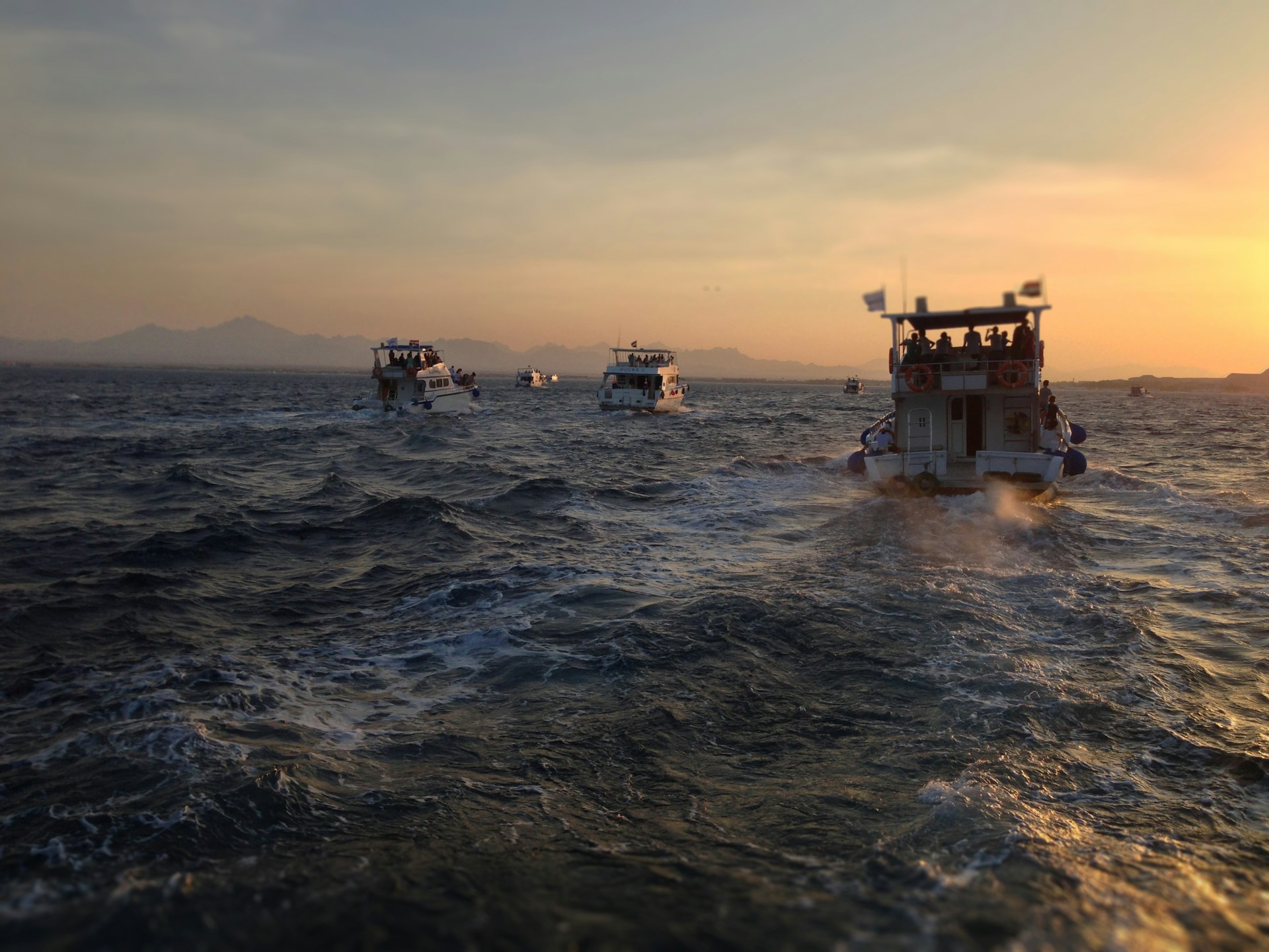 Sport Fishing in the Gulf of Aqaba, Red Sea