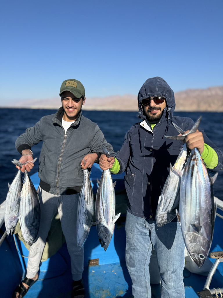 صورة من المعرض