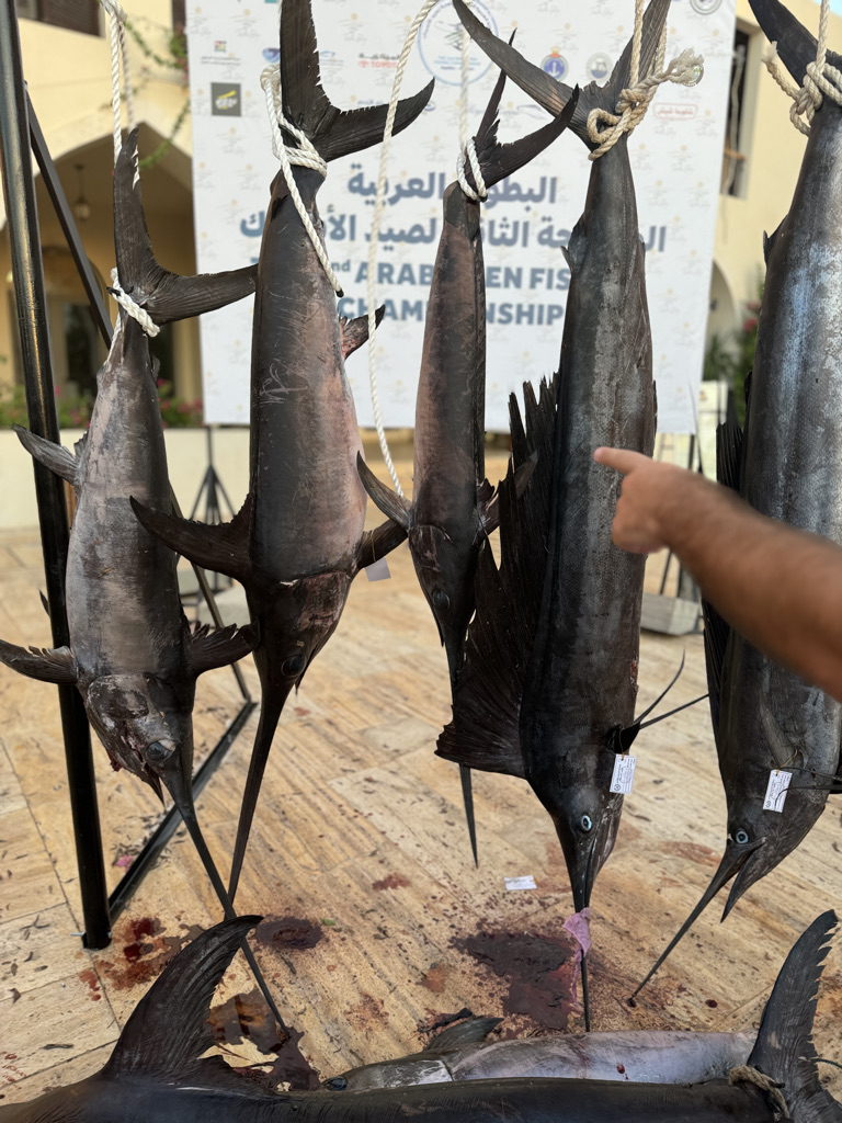 صورة من المعرض