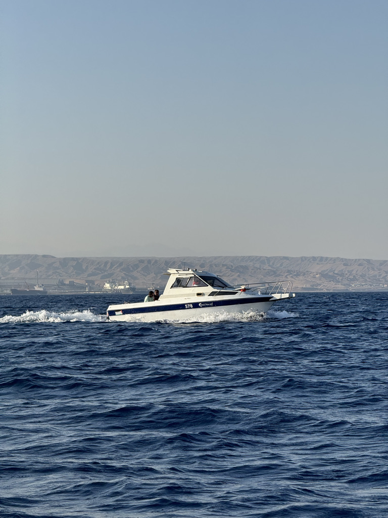 صورة من المعرض